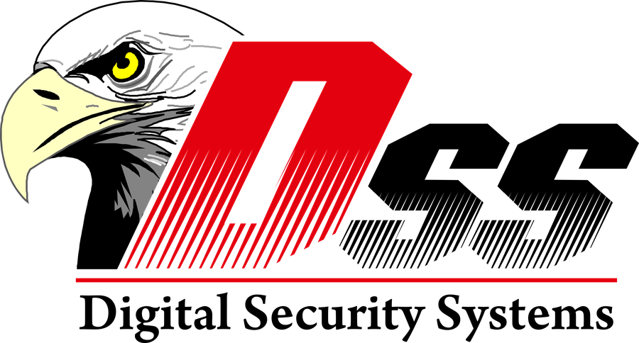 DSS — Digital Security Systems